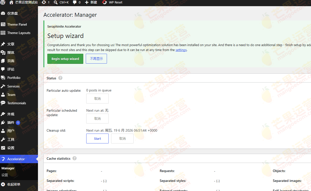 Accelerator Extended for WordPress 性能优化插件界面