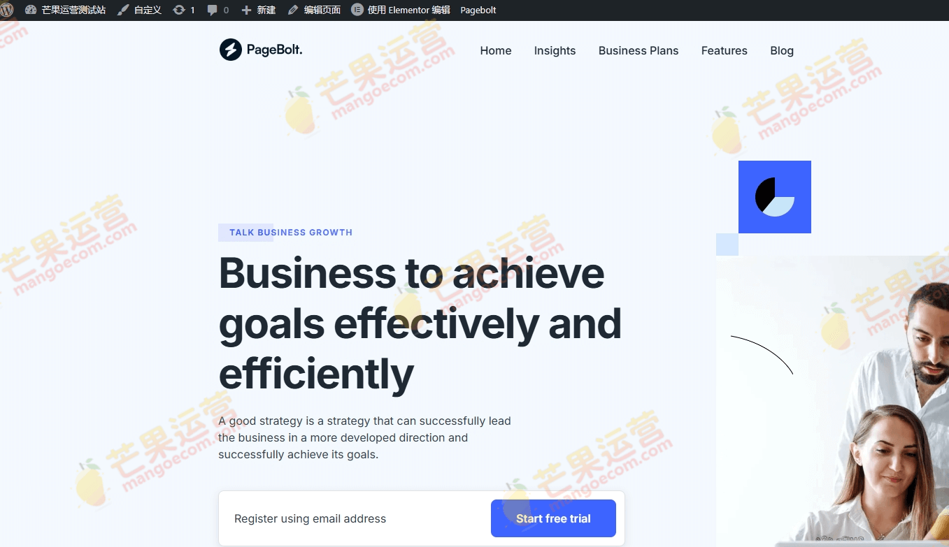 PageBolt 着陆页 WordPress 主题破解版下载