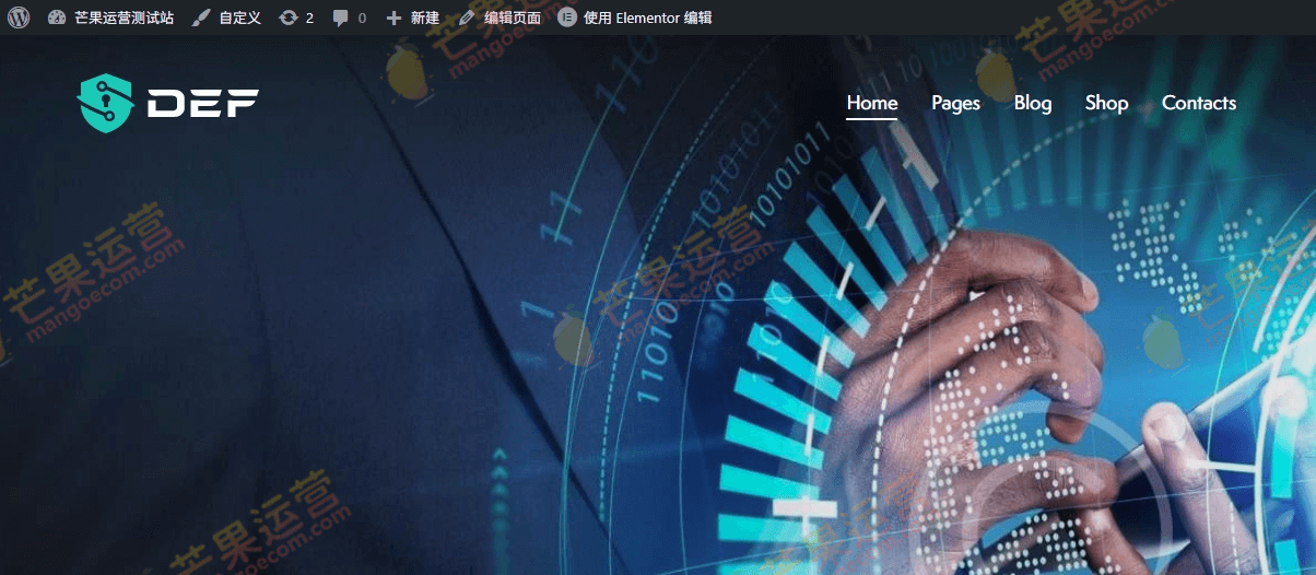 Def  保镖安保 WordPress 主题破解版下载