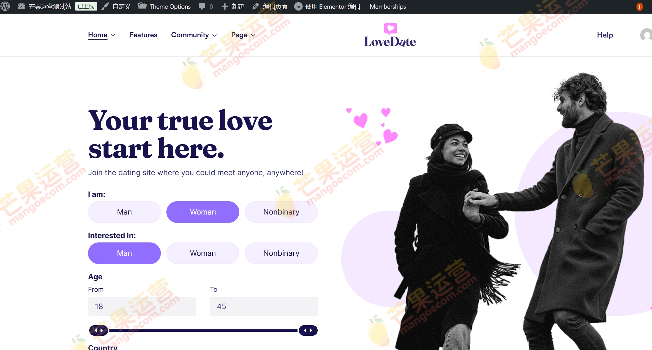 LoveDate 社交约会网络 WordPress 主题破解版下载