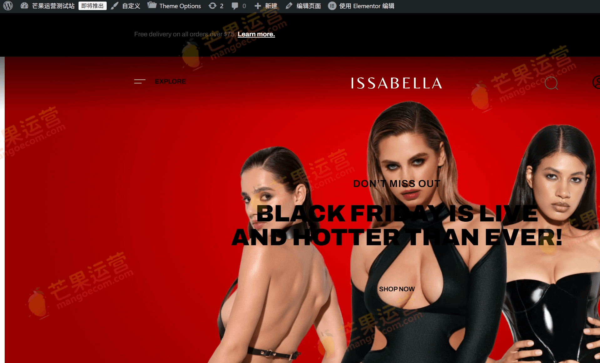 Issabella 性感内衣成人玩具店 WordPress 主题破解版下载