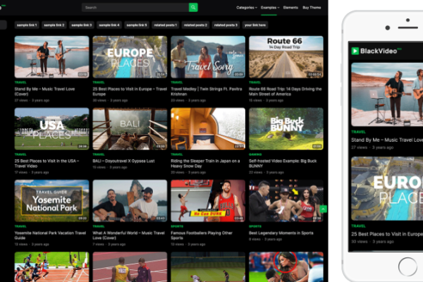 BlackVideo Pro v1.0.4 WordPress视频主题下载