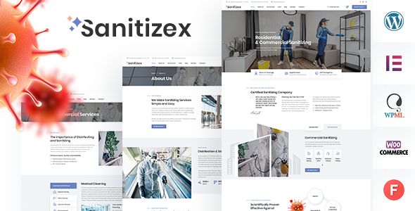 Sanitizex v2.6-清理服务WordPress主题下载