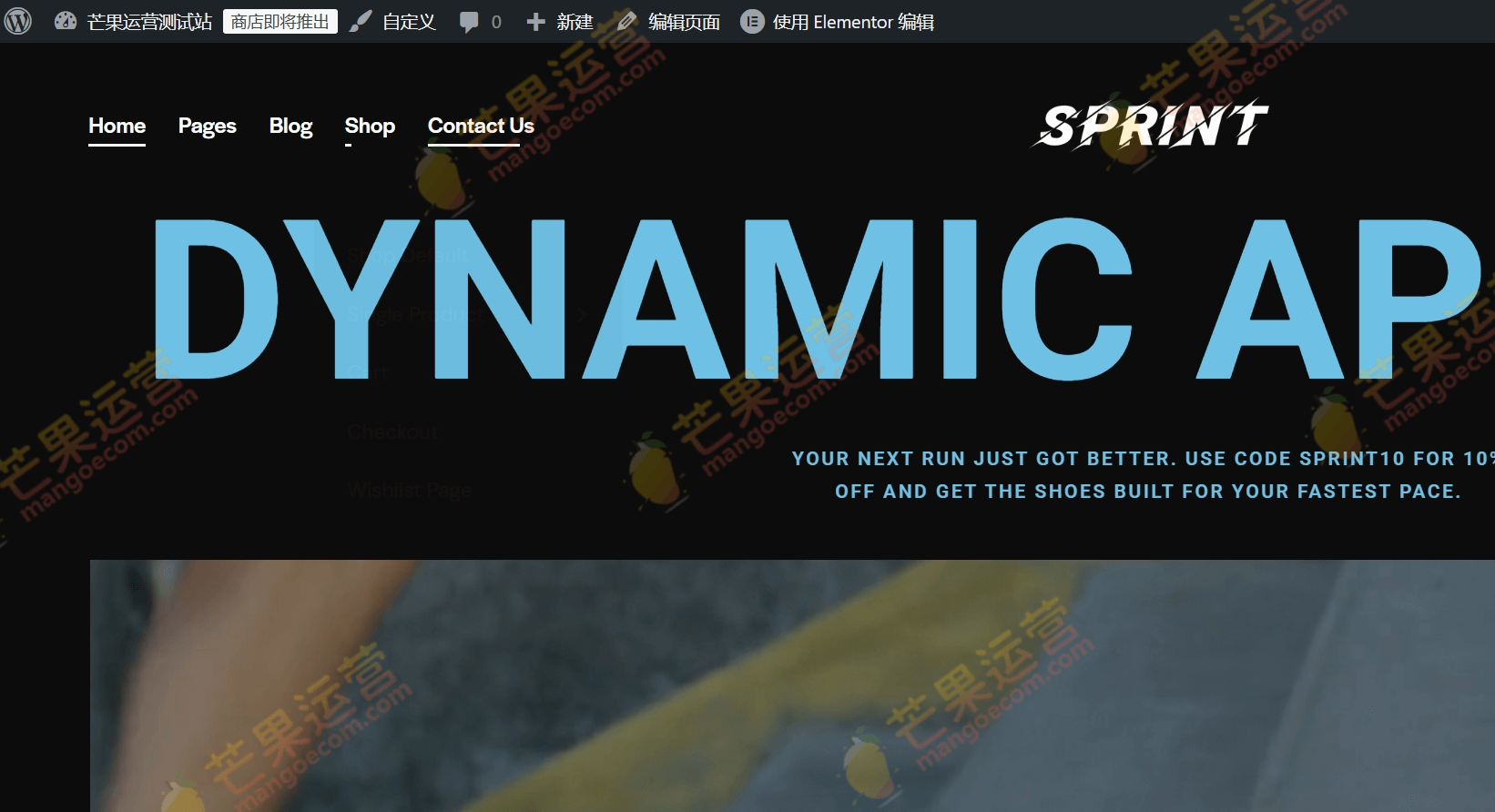 Sprint 体育商店和营养商店WordPress主题破解版下载