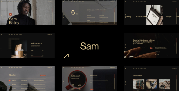 Sam Bailey v1.1.0 个人简历/简历WordPress主题下载
