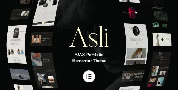Asli v1.5.3 – Ajax Portfolio Elementor主题下载