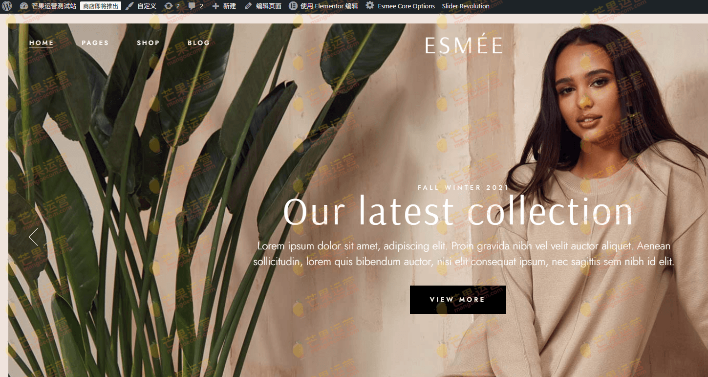 Esmée 时尚电商wordpress主题破解版下载
