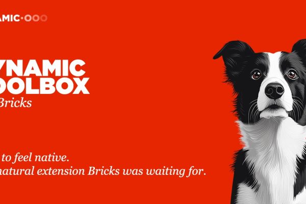 Dynamic.ooo v1.0.1 – Dynamic Toolbox for Bricks动态工具插件下载