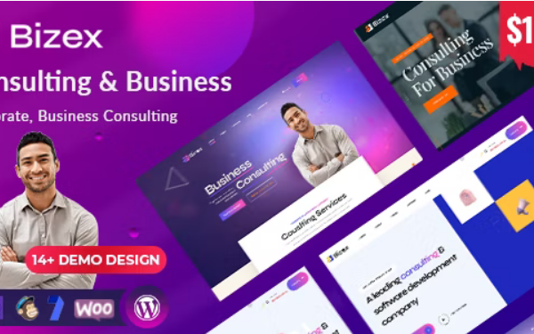 Bizex v1.0.5 商业咨询wordpress主题下载