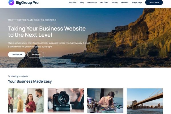 BigGroup Pro v1.0 用途广泛的 WordPress 主题下载