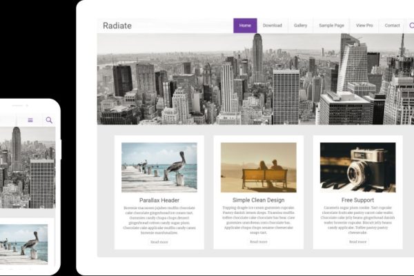 Radiate Pro v2.3.5 博主最喜欢的主题下载