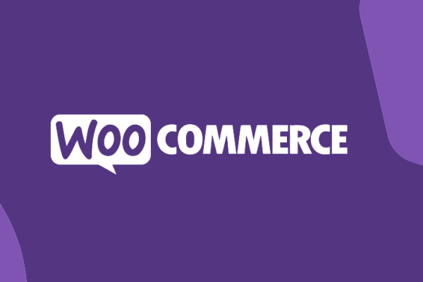 Edit Order by Customer v1.1.3 by Addify 特定订单状态wordpress插件下载