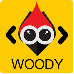 Woody Code Snippets Premium v1.2.0 [Activated] wordpress代码片段插件下载