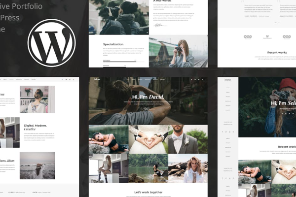 Selena. v1.0.5 多用途 WordPress 主题下载