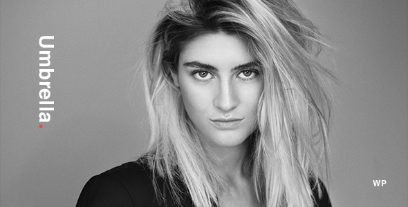 Umbrella v2.2.4 摄影 WordPress 主题下载