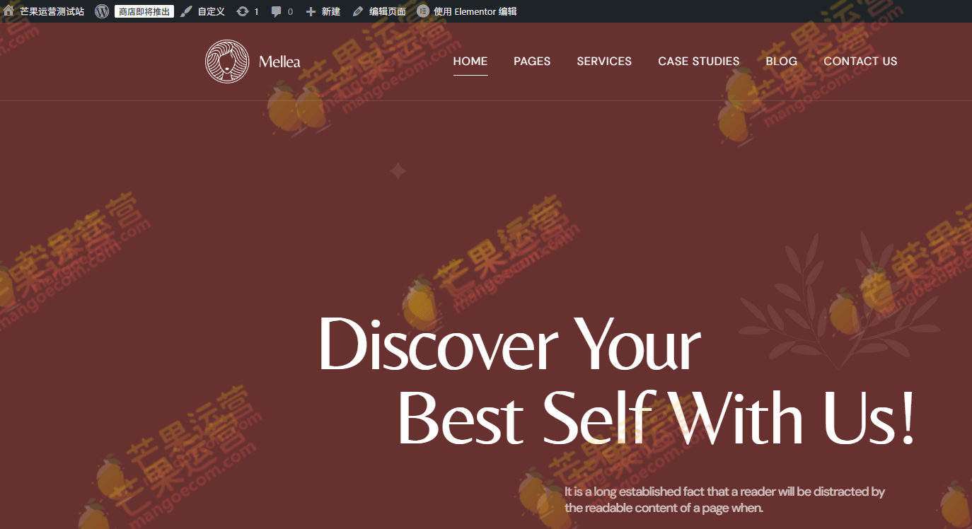 Mellea 整形外科及美容诊所 WordPress 主题破解版下载