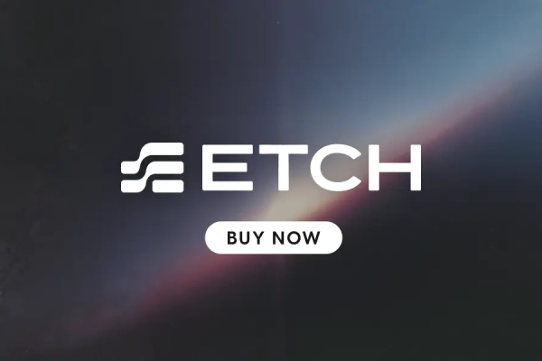 Etch WP v1.0.0 插件下载