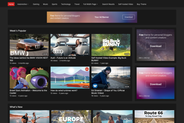 YouVideo Pro v1.0.1 WPEnjoy 主题下载