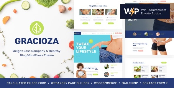 Gracioza v1.0.15 减肥公司 & 健康博客 WordPress 主题下载