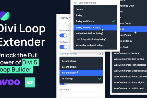 Divi Loop Extender v1.0.13 插件下载