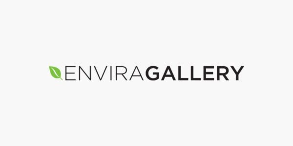 Envira Gallery Beaver Builder 1.1.3 拓展插件下载