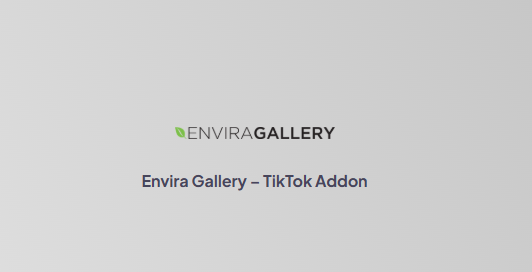 Envira Gallery – TikTok Addon 1.0.1 拓展插件下载