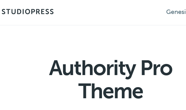 Authority Pro Theme Package v1.5.3 主题下载