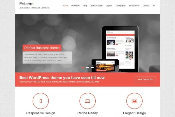 Esteem Pro v2.2.7 WordPress主题下载
